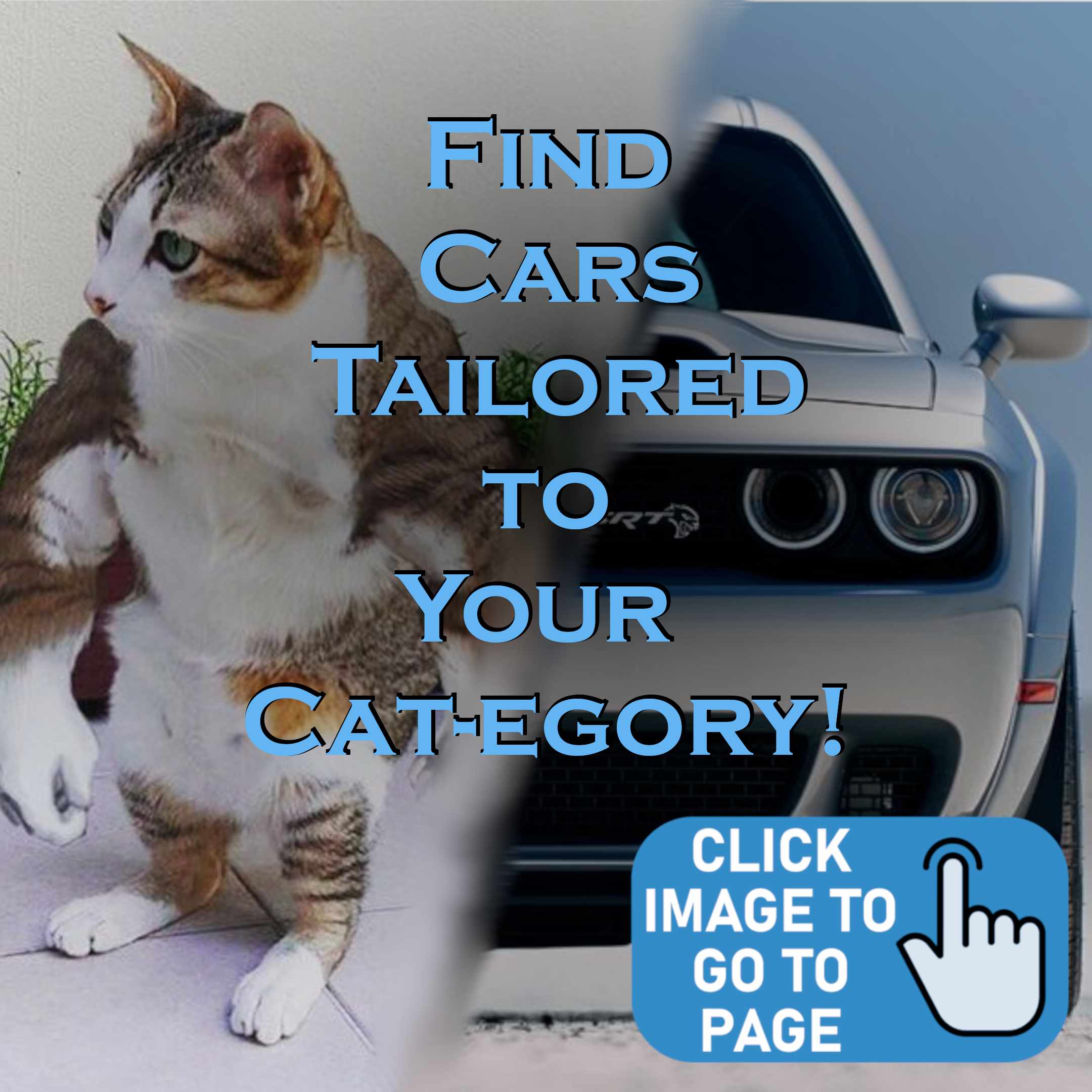 Your cat's car appears here