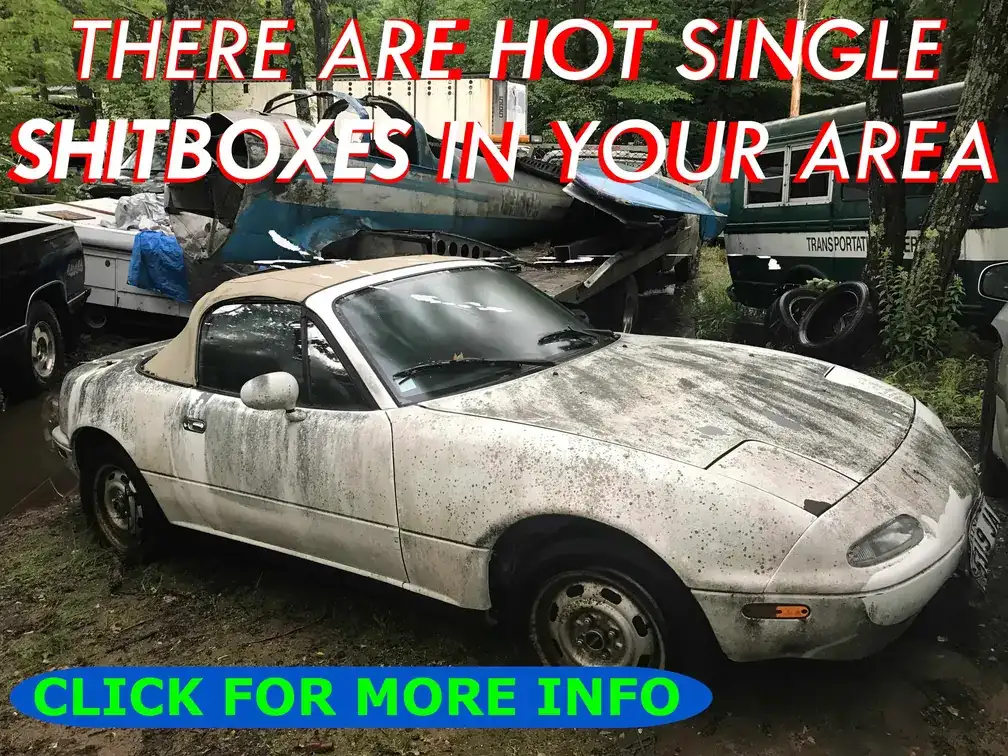 There are hot single shitboxes in your area